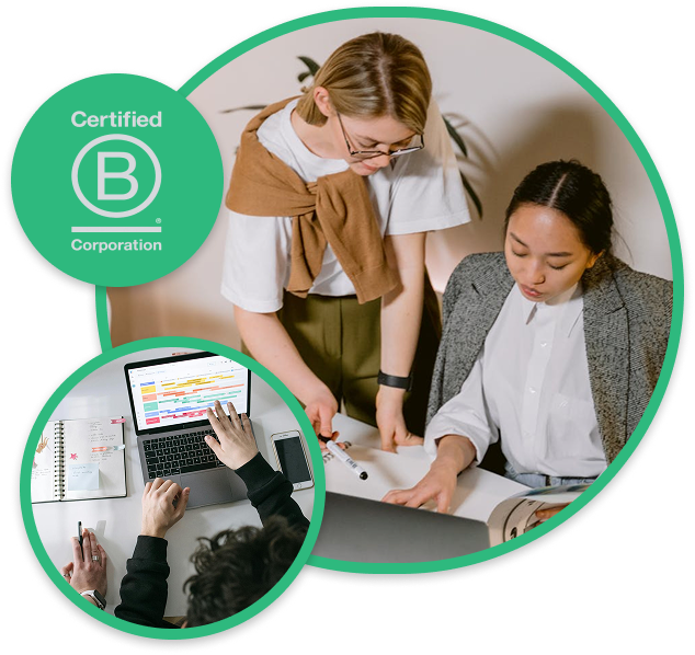 Professional Certificates